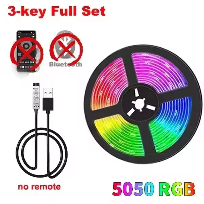 Led Tape 1-30M Usb Led Strip Light 5V Led Band with Wifi Bluetooth Remote Control Adhesive Ice String Led Fairy Lights Ribbon